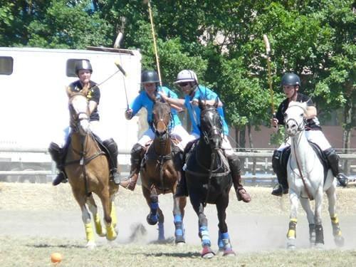 Paddock Polo , Valence