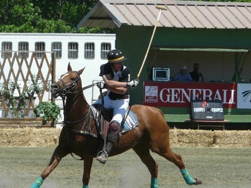 Paddock Polo, Valence